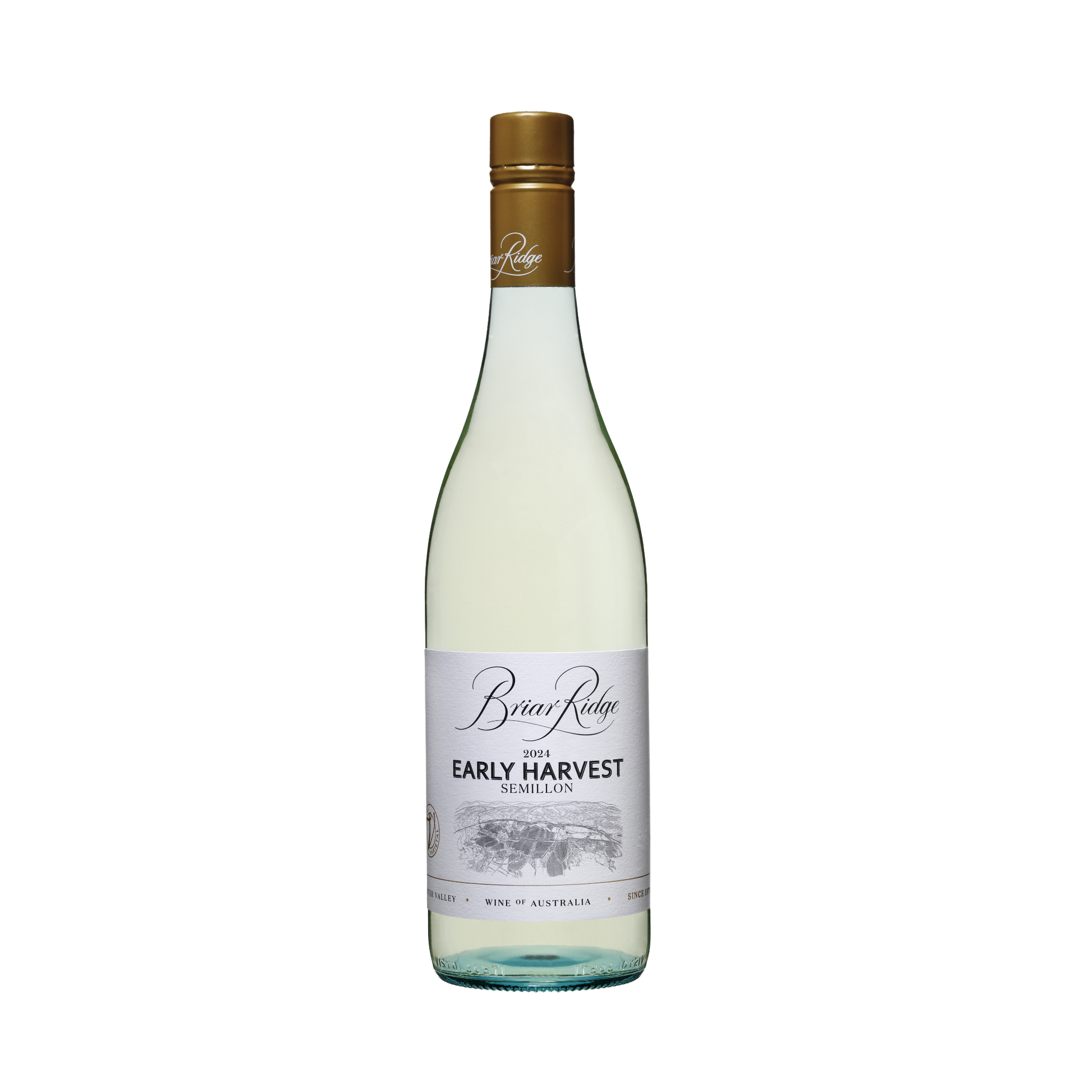 2024 Early Harvest Semillon