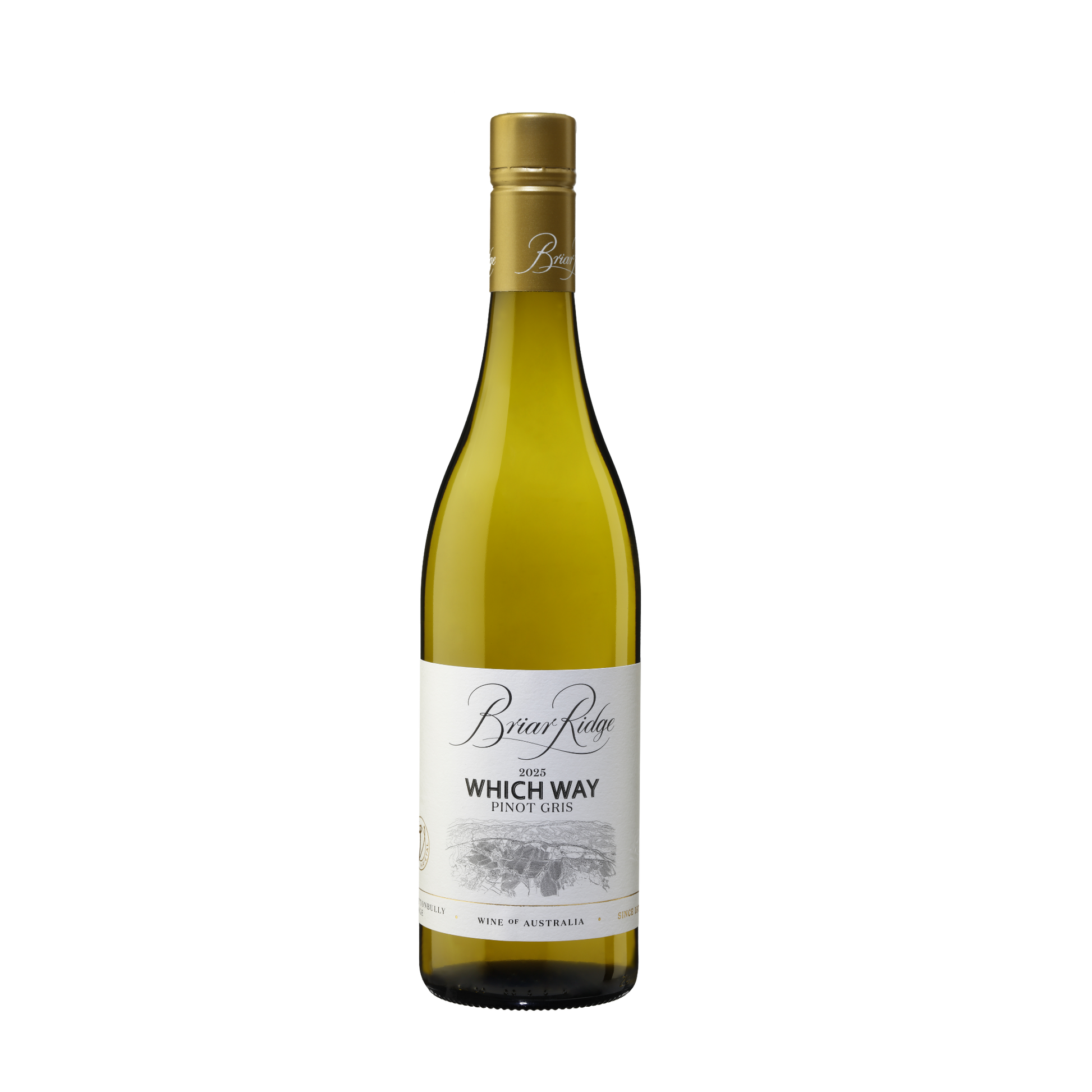 2025 Which Way Pinot Gris