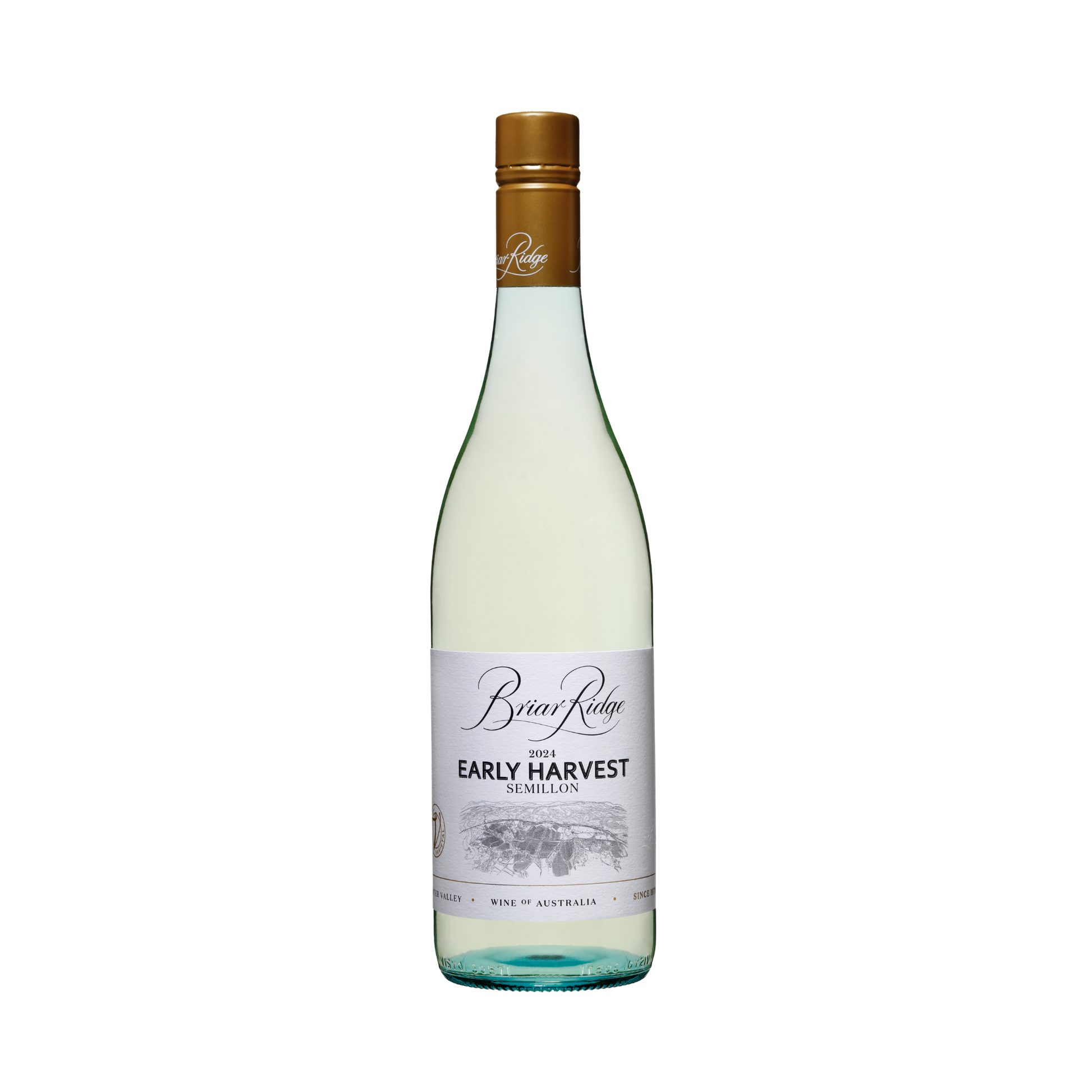 2024 Early Harvest Semillon